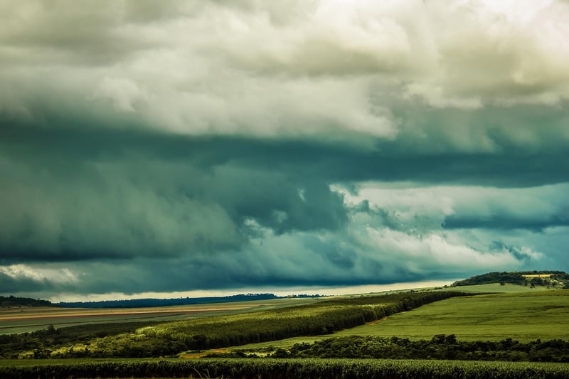 Temporal Adventurers